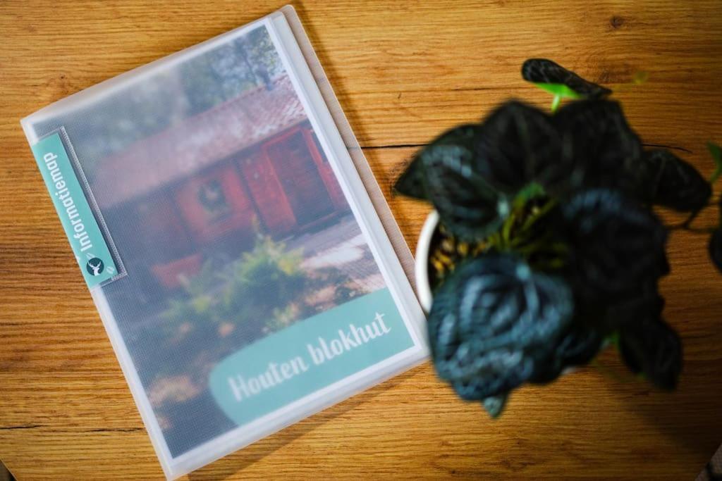 Huisdiervriendelijk Houten In Het * Epe
