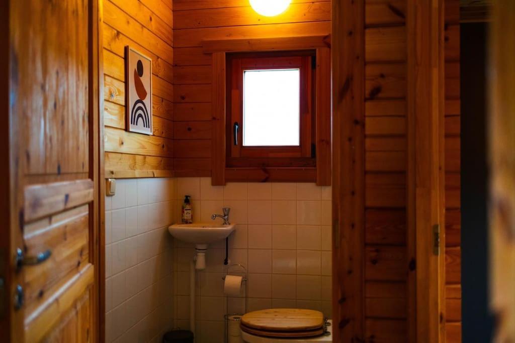Vakantiehuis Huisdiervriendelijk Houten In Het