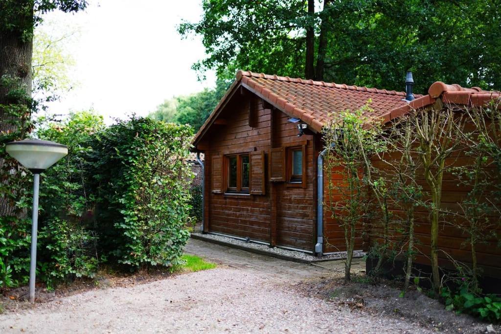 Huisdiervriendelijk Houten In Het Vakantiehuis *