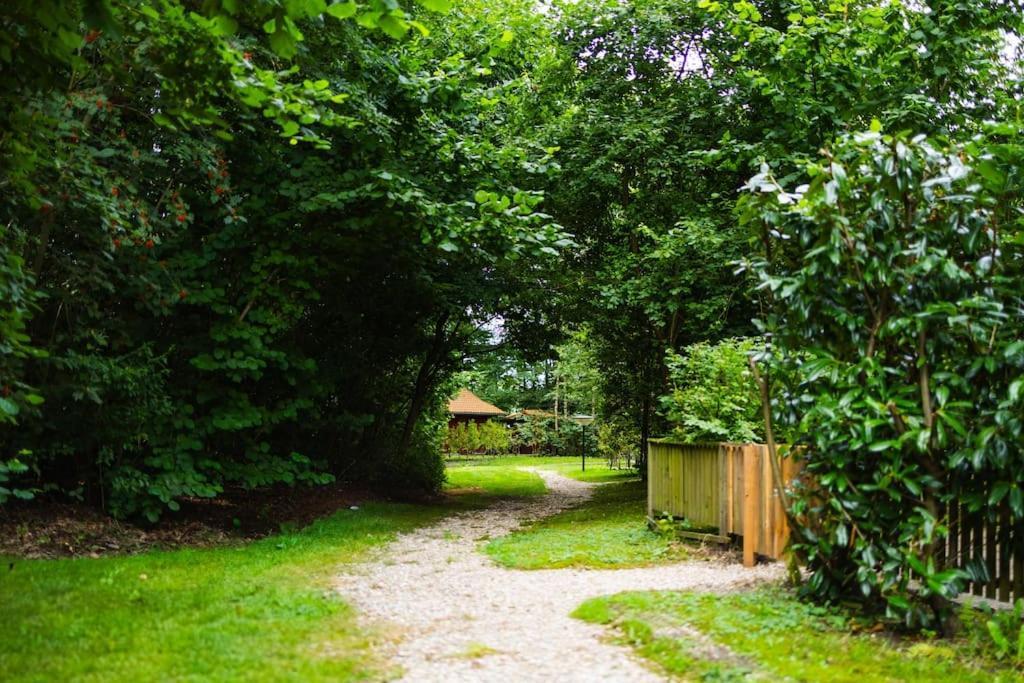Huisdiervriendelijk Houten In Het Epe